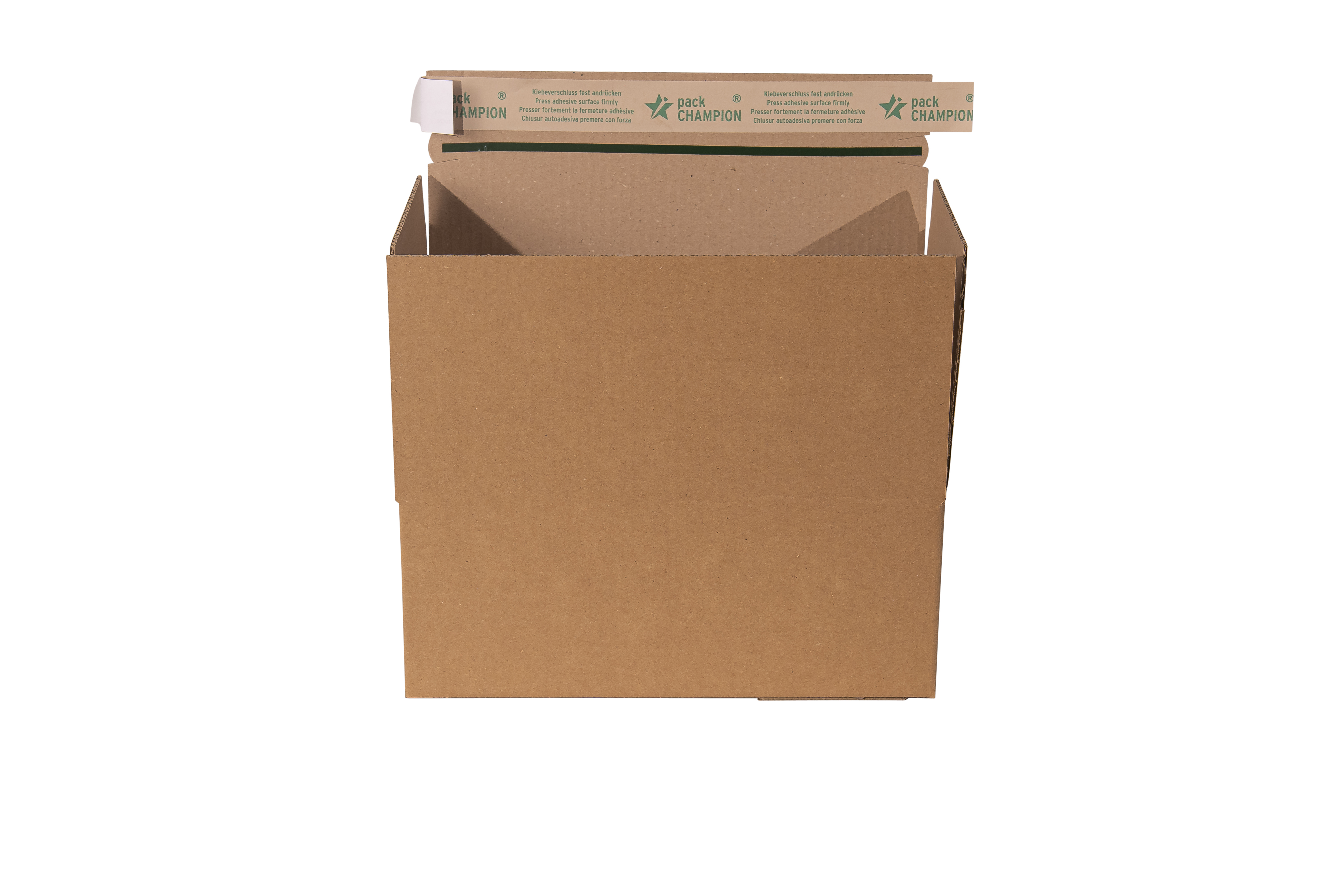 FBS FIXBOX STANDARD met zelfklevende sluiting en scheurstrip 310x230x110 mm
